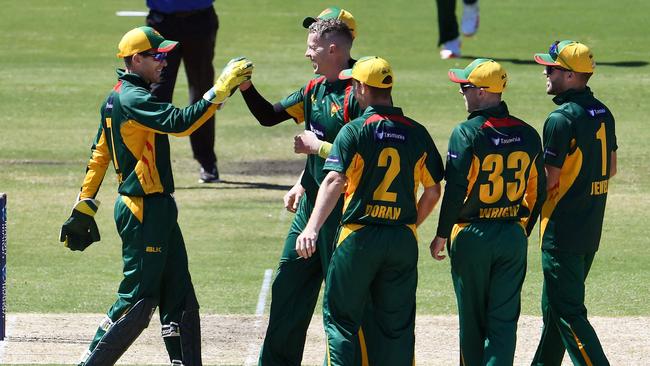 The Tigers celebrate a wicket during the 50 over Marsh Cup against Victoria last week, the first of consecutive victories for the side in the format. (Photo by William WEST / AFP)