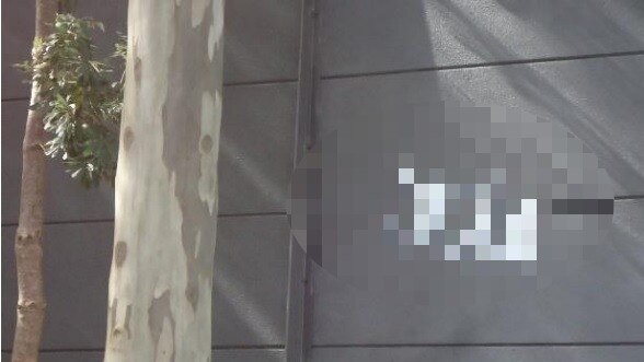 A pixelated photo of graffiti in Lane Cove.