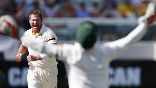 Day 3 Test Ryan Harris gets Dhoni caught behind Picture:Wayne Ludbey