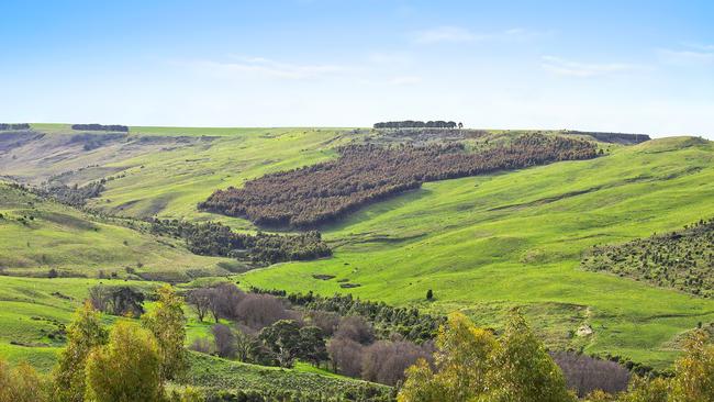 Yaloak Estate at Ballan