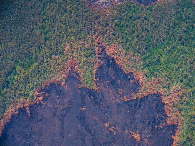 2019 Tasmanian bush fires. Fire burning into rainforest, Deception Ridge, Celtic Hill Fire - at Southwest National Park. . Picture - LUKE TSCHARKE / PAR AVION