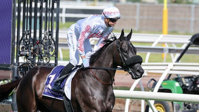 Ka Bling is third-up in the Ramornie. Picture: George Sal/Racing Photos via Getty Images