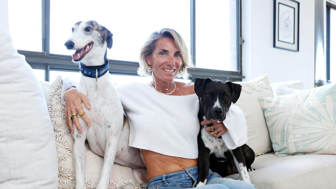 Love at first sight: Nellie meets Moose ahead of adoption day