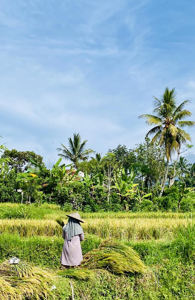 Intrepid’s ‘Discover Lombok’ tour was a journey of food, nature and culture through an untouched part of Indonesia. Picture: Supplied