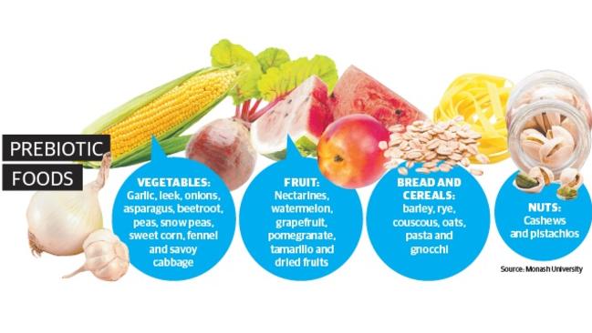 Possible Hypertension Cure: Prebiotic Diet Could Help Regulate Blood ...