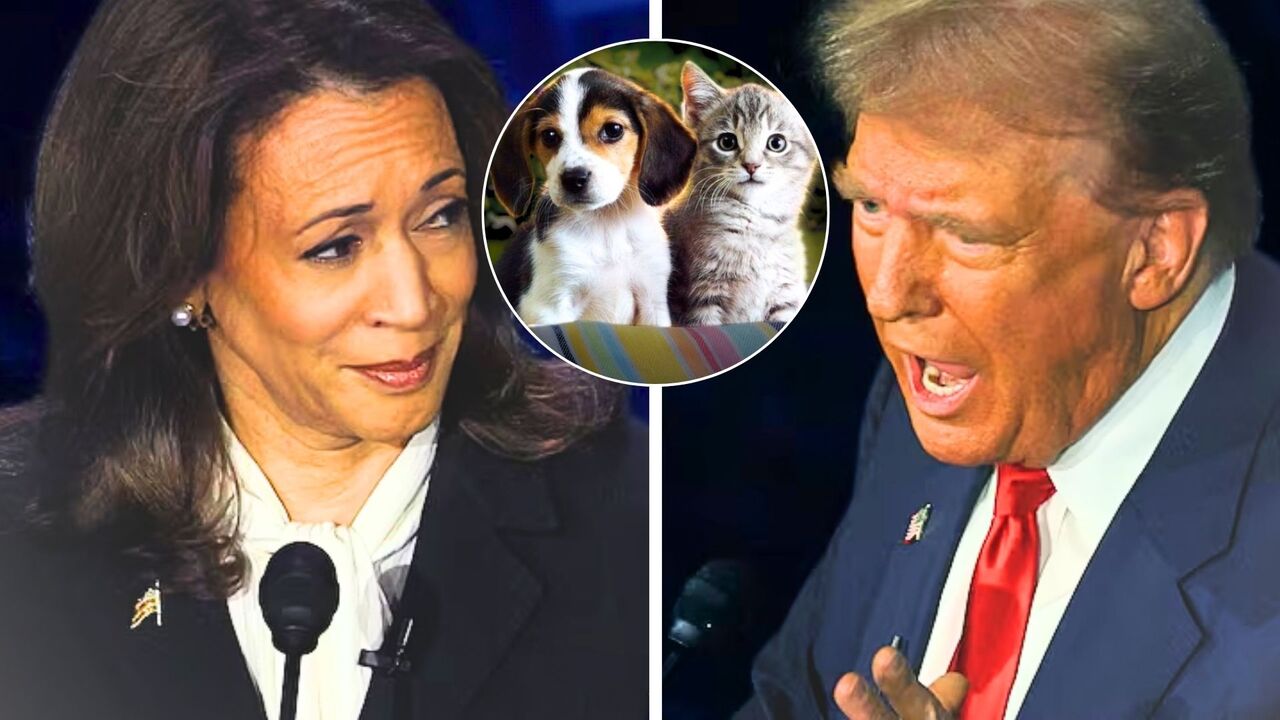 Why Donald Trump thinks immigrants are eating cats and dogs