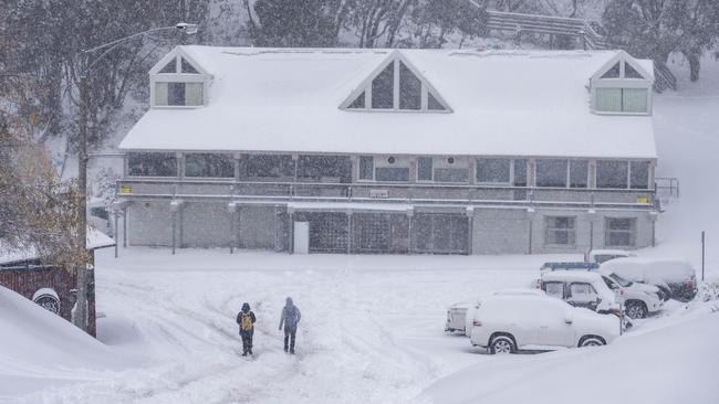 Around 20cm of fresh snow has landed at Falls Creek in the past 24 hours. Picture: Falls Creek.