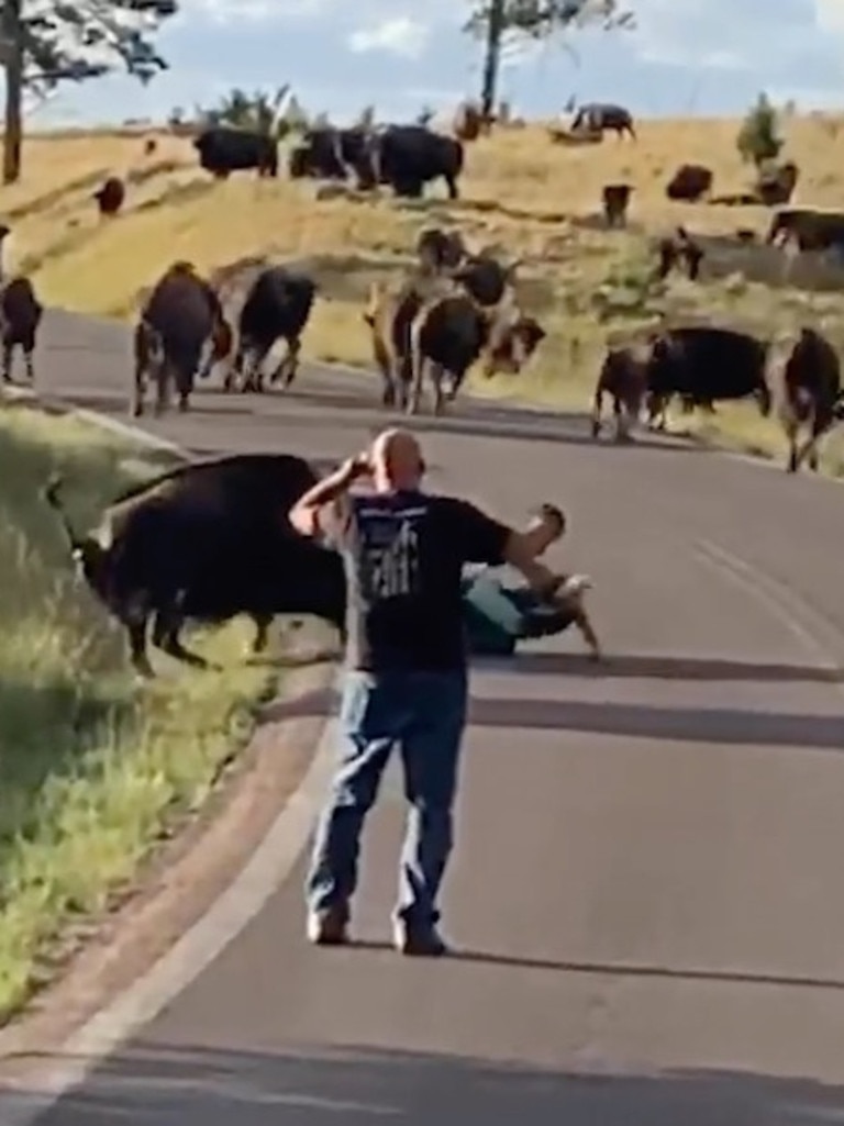 Bison Rips Off Womans Pants In Horrifying Attack Caught On Video The 