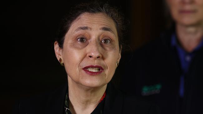 The Minister for Energy, Environment and Climate Change, Lily D'Ambrosio speaking to the media during a press conference. Picture: NCA NewsWire/Daniel Pockett