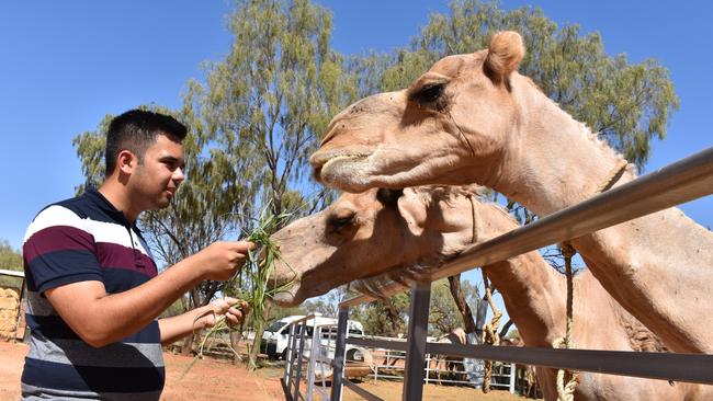 Saad Khalid visiting the Alice Springs camel farm as part of his documentary project. Picture: JAMAL BEN HADDOU