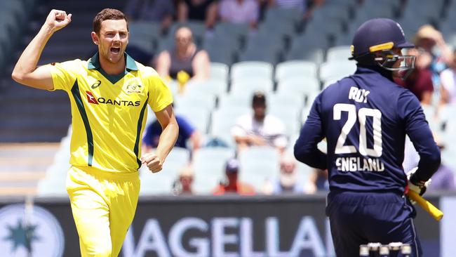 Josh Hazlewood claims the wicket of Jason Roy at the Adelaide Oval. Picture: Sarah Reed