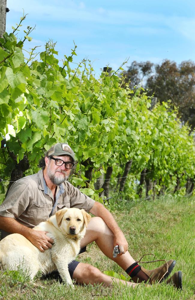 Mr White, pictured with dog Frankie, said a doctor thought he had a burst appendix initially. Picture: Alison Wynd