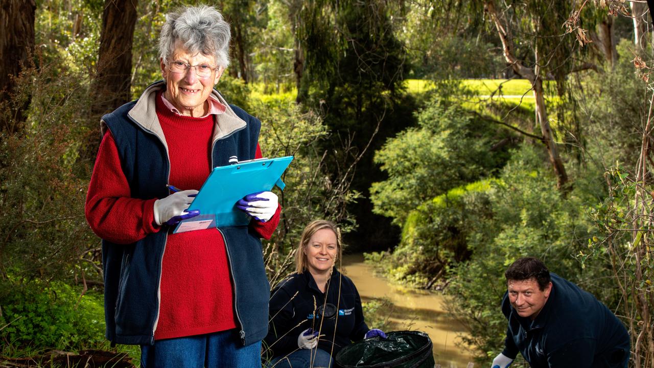 Diamond Creek platypuses deaths: Animals choking on hair ties in water