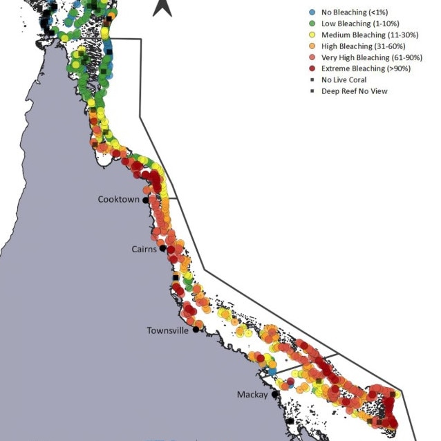 2024 aerial survey observations of bleaching prevalence in shallow-water coral communities throughout the Great Barrier Reef. A total of 1080 reefs were surveyed by a combination of helicopter and fixed-wing aircraft earlier this year.