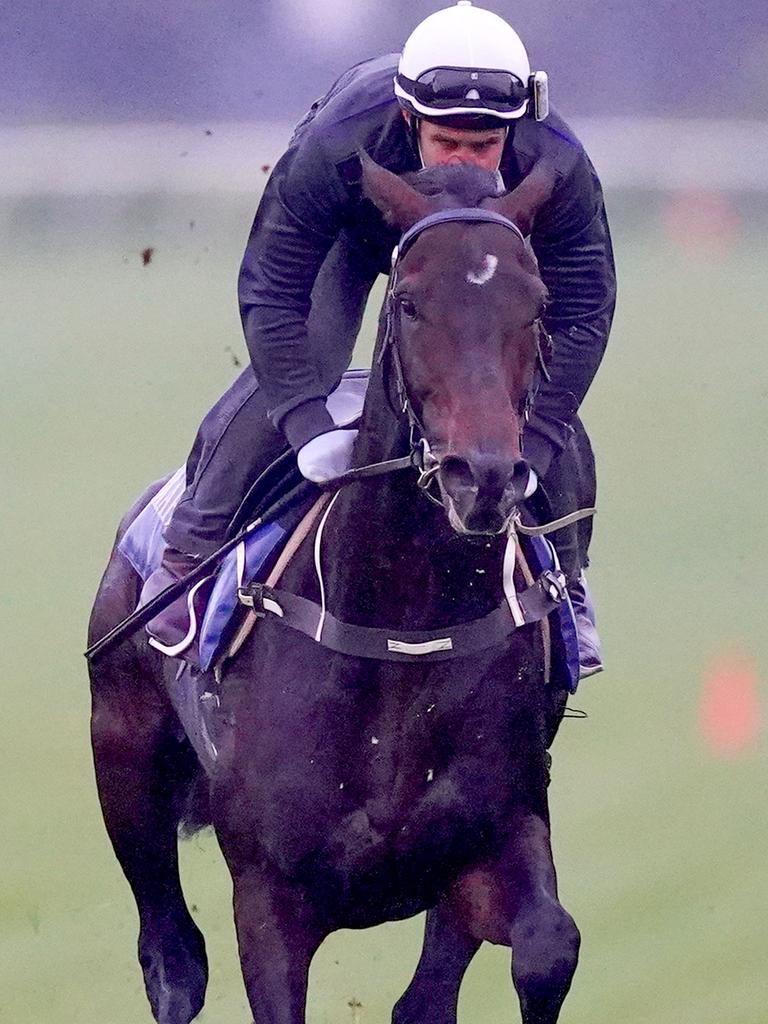 Sandown trackwork