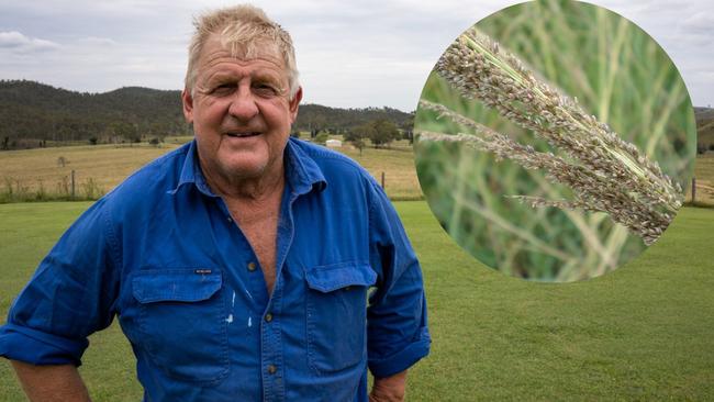 ‘Months and months of work’: Noxious weed besieges farmers