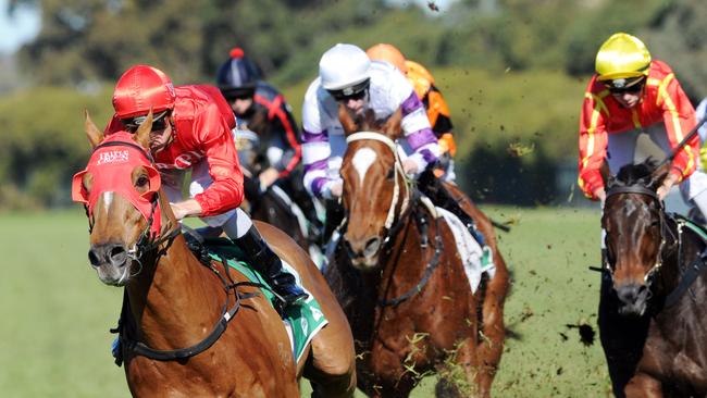 Shinn perfection: Blake Shinn pushes the button on El Sasso on Saturday. Picture: Simon Bullard