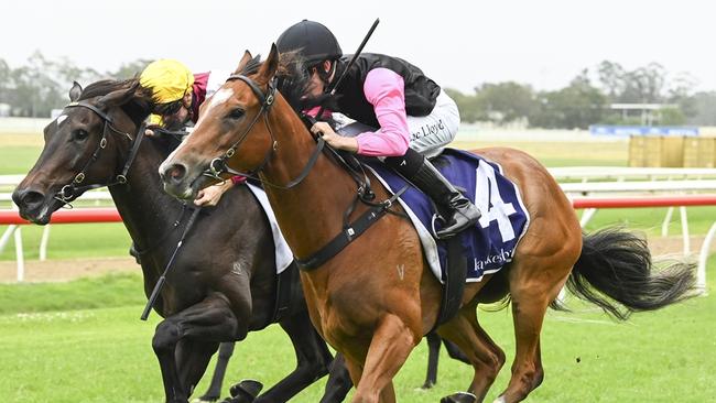 It's A Wonder is chasing a third carer win when she heads to the Kensington. Picture: Bradley Photos