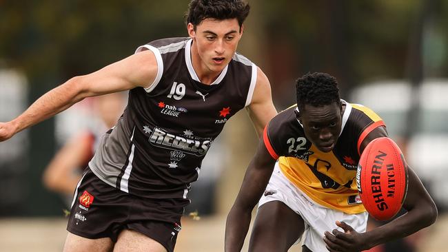 Dandenong Stingray Mac Andrew swoops on the ball against GWV Rebels at Queen Elizabeth Oval. Pic: AFL Photos