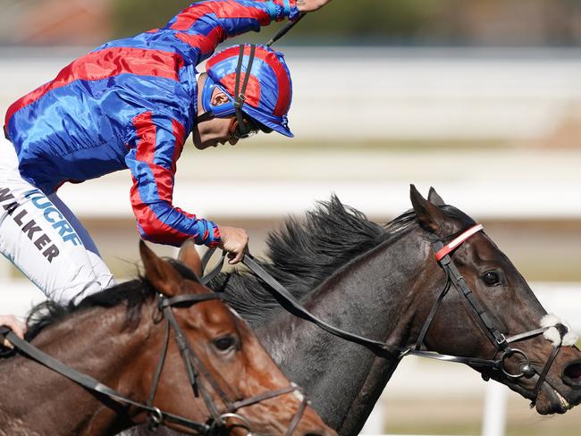 Jockey Michael Walker rides Prince Of Arran to victory in Race 7, the Bet365 Geelong Cup, during the Geelong Cup Day at Geelong racecourse in Melbourne, Wednesday, October 24, 2019. (AAP Image/Michael Dodge) NO ARCHIVING, EDITORIAL USE ONLY