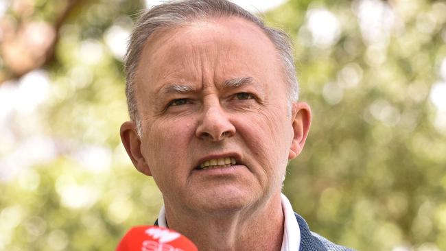 Anthony Albanese speaks to the media.