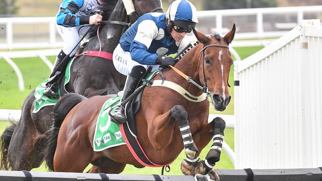 Loft has been a revelation since trainer Shane Jackson switched him to hurdle racing. Picture: Racing Photos via Getty Images