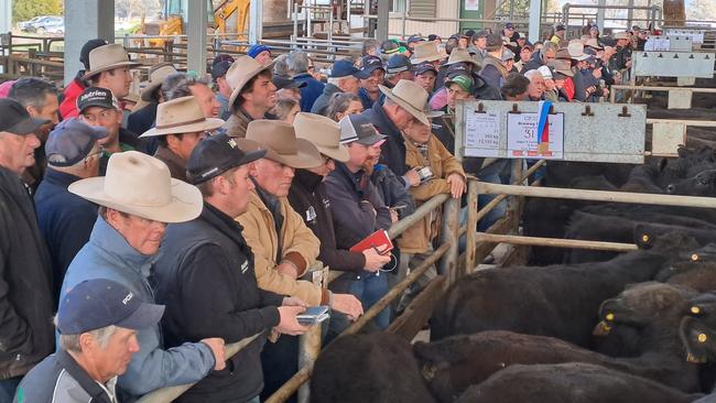 The huge crowd at the Wangaratta spring feature sale.