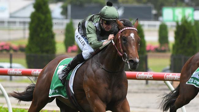 Yes Yes Yes surges to a win at Moonee Valley last start. Picture: Getty Images