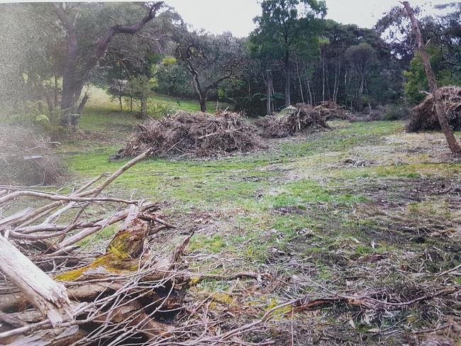 Chris Judd’s company has been fined $40,000 for clearing this 3000sq m patch of land at his Arthurs Seat holiday home.