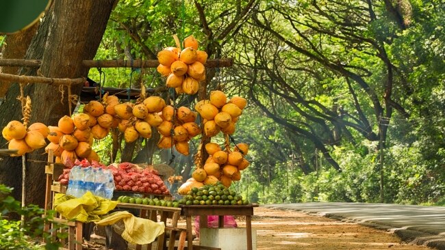 Sri Lankan fruit vendor's stall on the way from Negombo to Kandy.