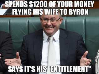 Anthony Albanese says his expenses claims are his "entitlements".