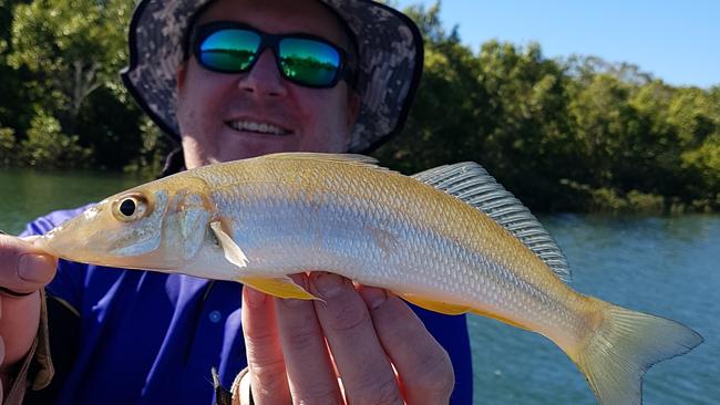 Tim Mulhall with a whiting. Photo: Contributed