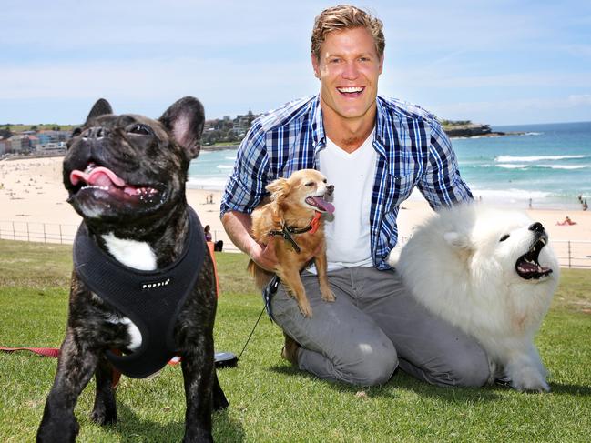 Bondi Vet Dr Chris Brown has also warned about the dangers of pet separation anxiety. Picture: Bob Barker