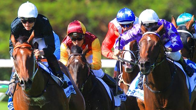 Leebaz (left) is favourite to triumph in the Panthers Hawkesbury Gold Cup. Picture: Mark 