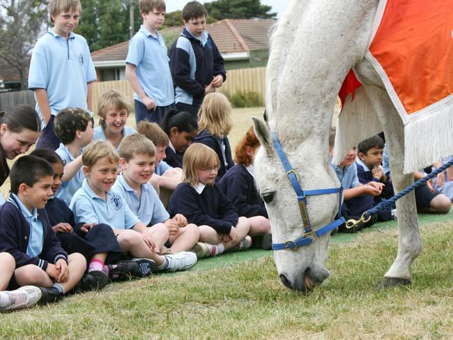 King of the kids: 1992 Melbourne Cup winner Subzero visiting a primary school.