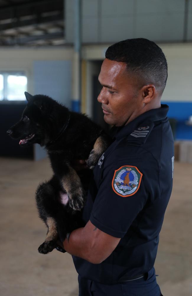 NT Police Dog Operations Unit officer Riva Zio with the squad's newest recruits, Axe and Jax.