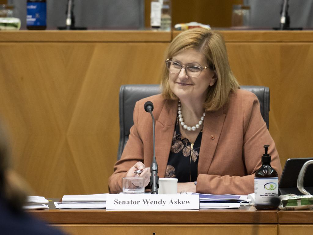 Tasmanian Liberal senator Wendy Askew. Picture: NCA NewsWire / Martin Ollman