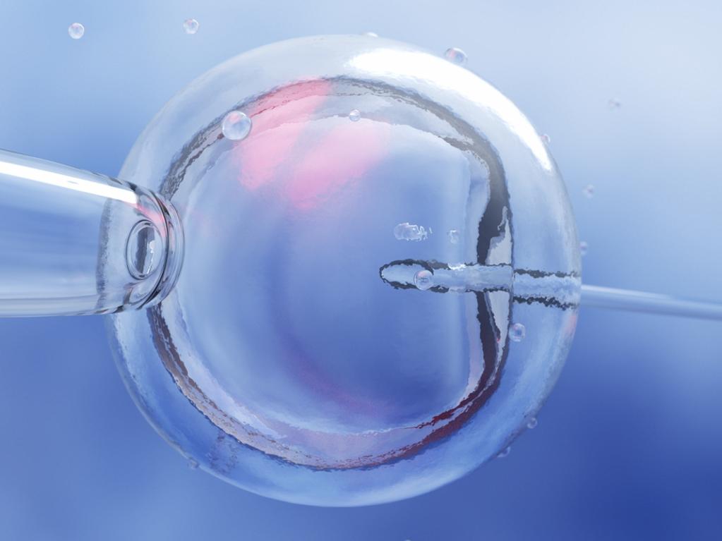 The cost of a single IVF cycle can cost as much as $15,000.