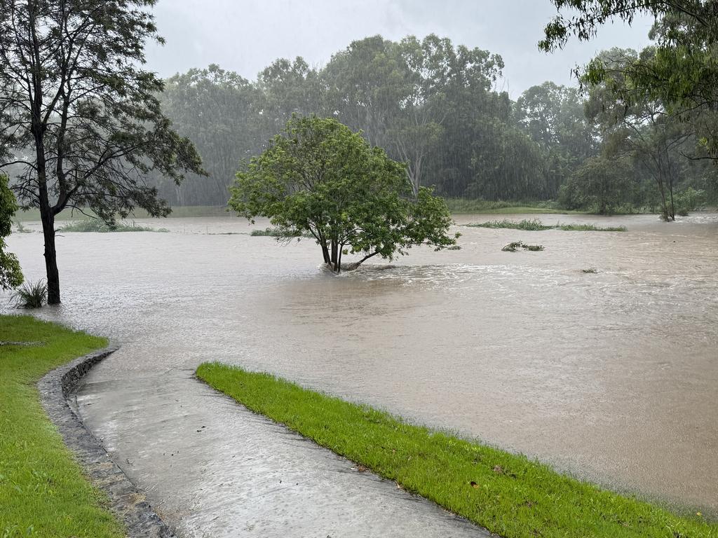 Kedron Brook near Grange Residences. Picture: Sean Callinan