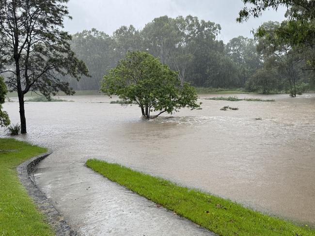 Kedron Brook near Grange Residences. Picture: Sean Callinan