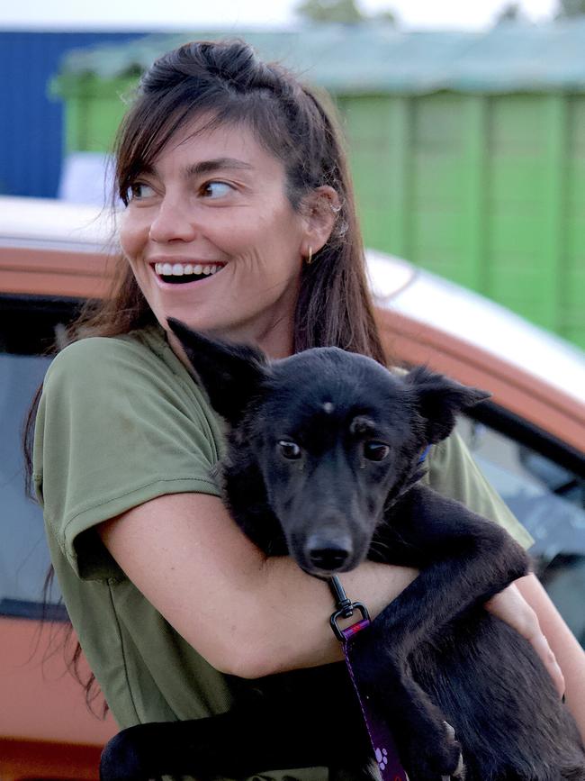 A dog rescued from the conflict zone arrives at the shelter.