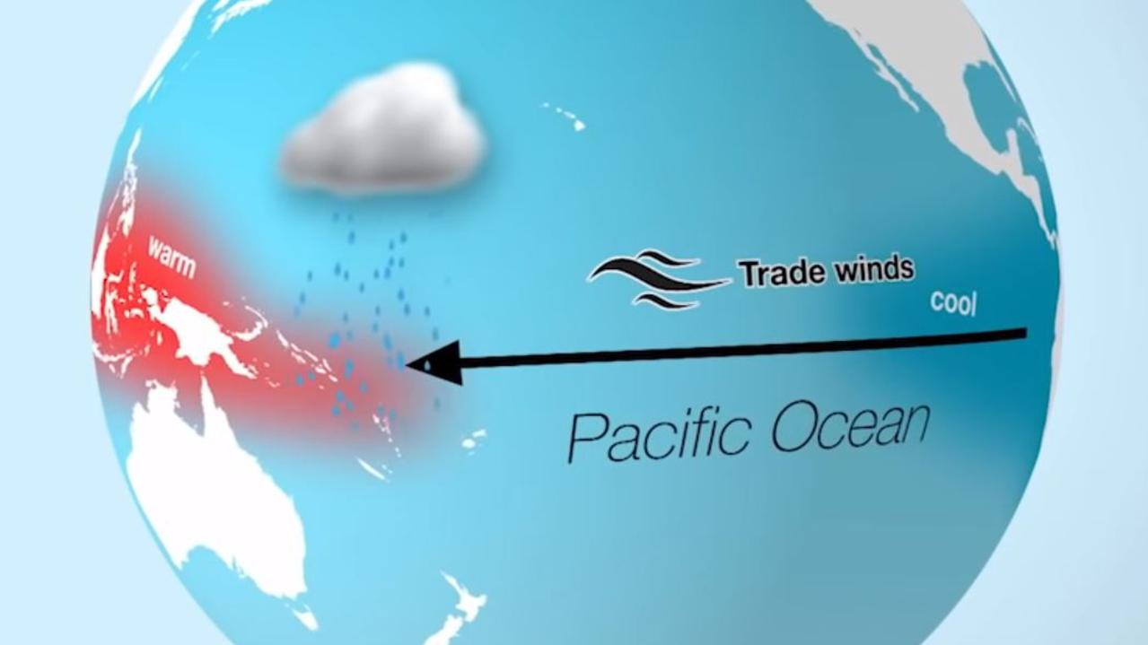 A La Nina sees cooler waters in the eastern Pacific, warmer waters closer to Australia and increased rainfall for the continent. Picture: BOM.