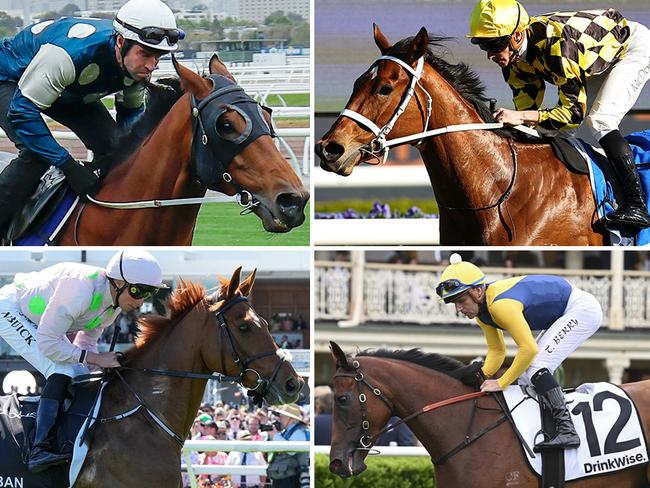 Star gallopers (clockwise from top left) Buckaroo, Autumn Glow, Stefi Magnetica and Vauban were all eye-catchers in Randwick trials on Monday. Pictures: File