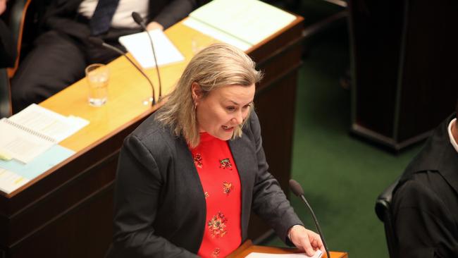 Labor member Anita Dow in state parliament.