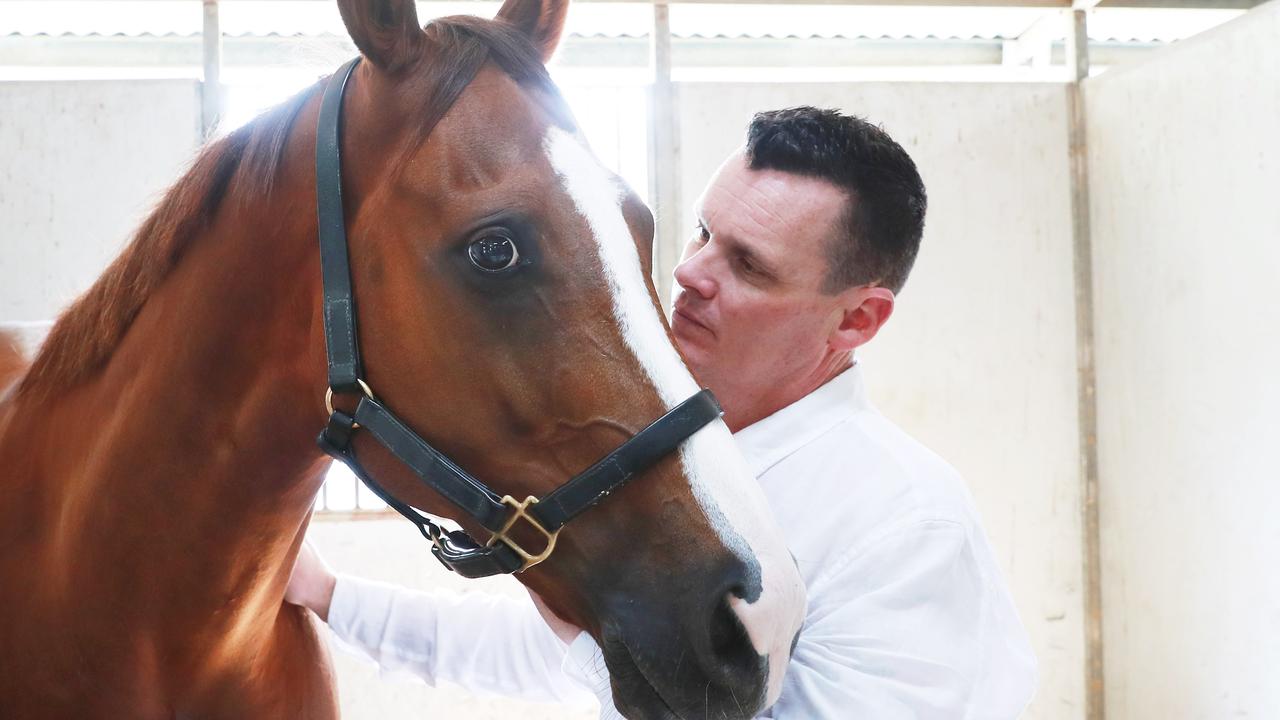 Trainer Joe Pride (pictured) has promising gelding Think About It resuming at Warwick Farm on Wednesday.