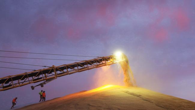 Shares in GrainCorp advances after government projections forecast a bullish outlook for winter crop yields. Picture: Supplied.