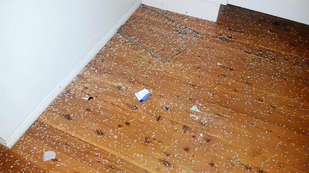 DISGUSTING: Mess left by evicted tenants. Owner of the Mongogarie property Christine Beatty has been left at least $5000 out of pocket. Picture: Contributed