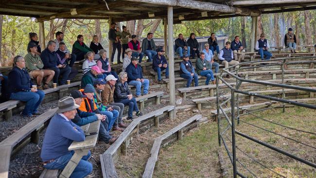 The original bull sale arena, at the Pardoo Cattle Co property. Picture: Supplied by Emily McCormack