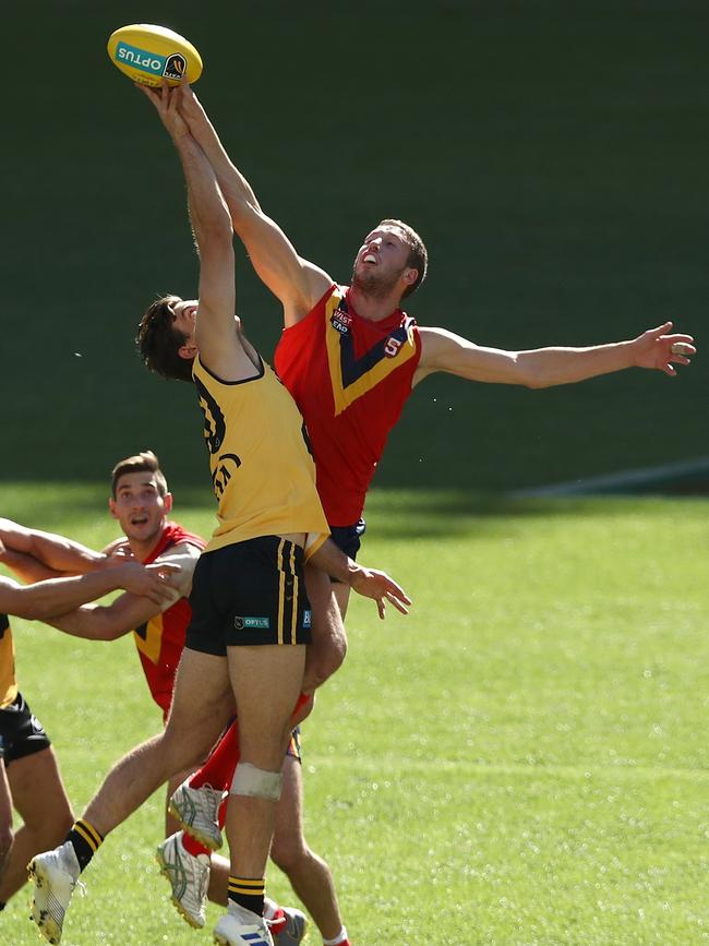 Michael Knoll up against WA’s Corey Gault in the ruck during his best-on-ground performance. Picture: Paul Kane/Getty Images