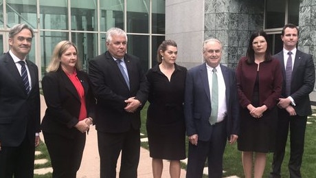 Liberal senator Andrew McLachlan, Centre Alliance MP Rebekha Sharkie, Independent senator Rex Patrick, Greens Senator Sarah Hanson-Young, Labor senator Don Farrell, Labor senator Marielle Smith, Liberal MP James Stevens. Picture: Claire Bickers